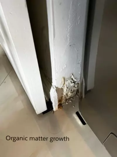 Plumbing Leak Detection job in North Bay Village