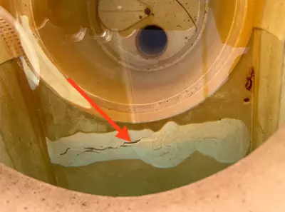 Pool Leak Detection job in Palmetto Bay