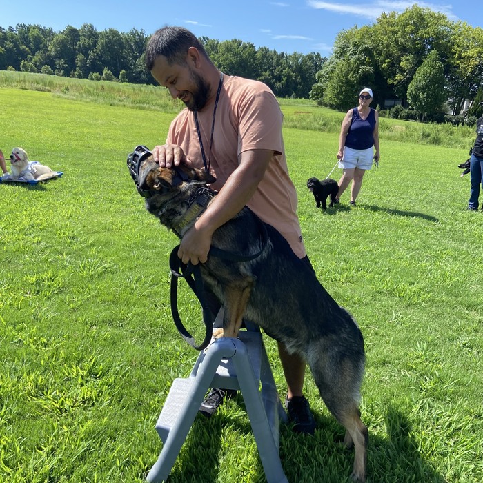 Charlotte Obedience Training job in Indian Trail