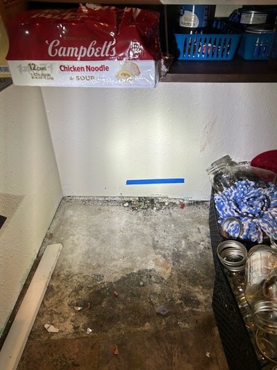 PLUMBING LEAK DETECTION job in Violet