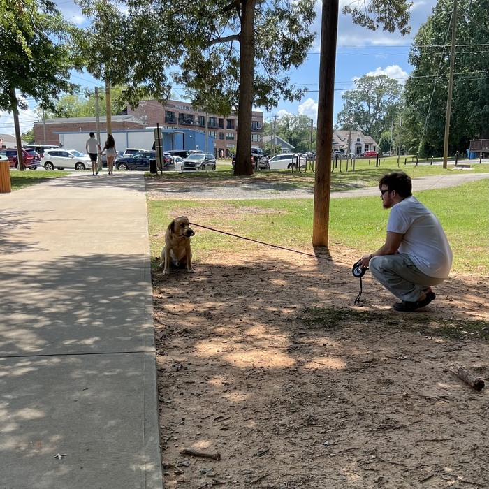 Charlotte Obedience Training job in Belmont