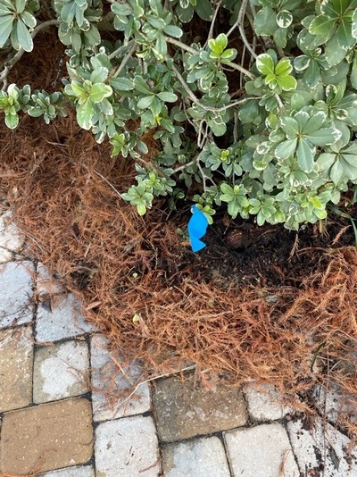 POOL LEAK DETECTION job in Kenner
