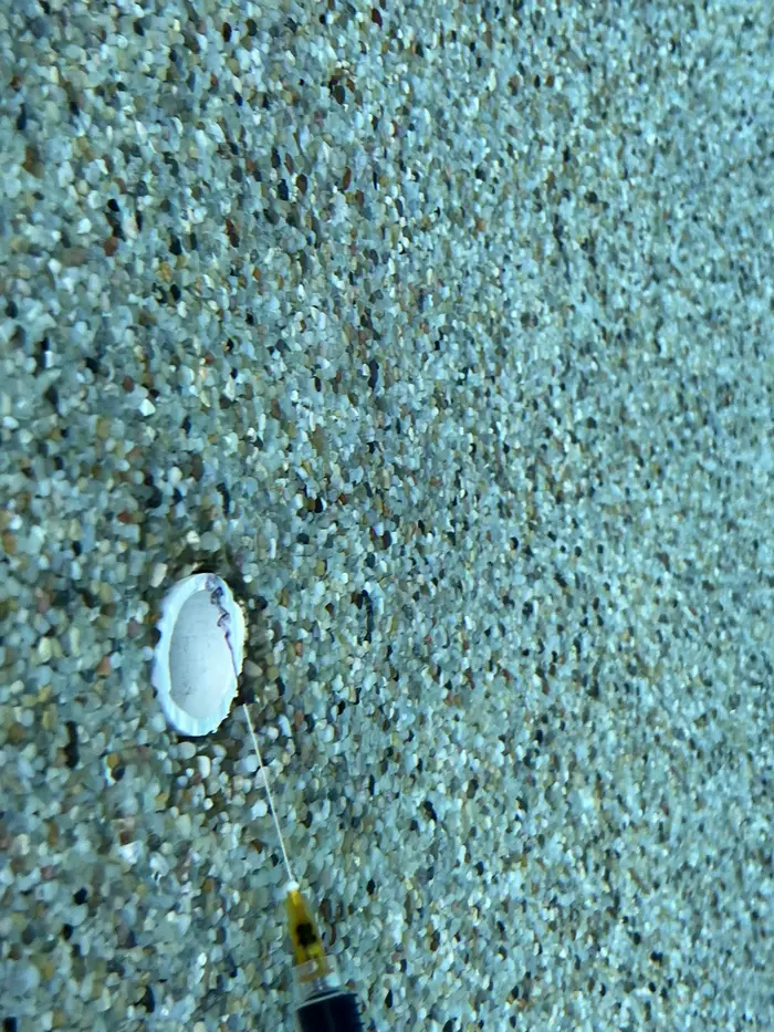 American Leak Detection of East Central Florida | Leak Detection