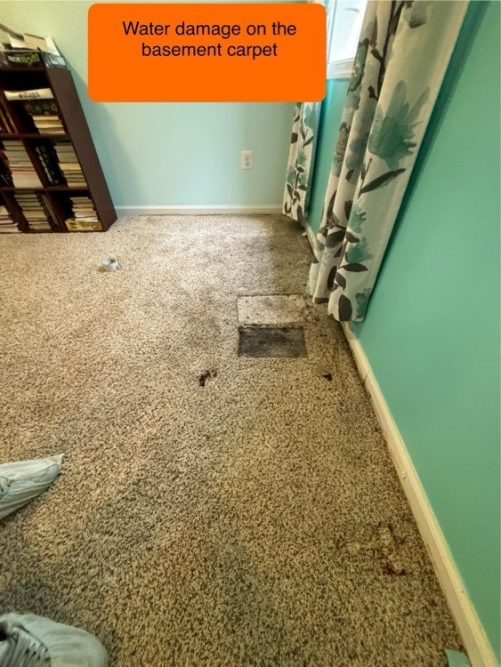 カーペット American Leak Detection of Maryland | Leak Detection Specialists